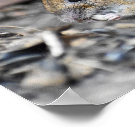 Schöne Holzmouse Poster (Ecke)