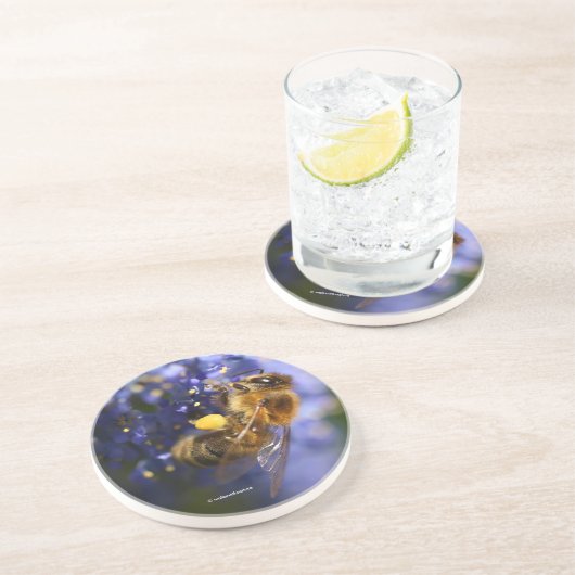 Schöne Honeybee auf der California Lilac Getränkeuntersetzer (Seite)