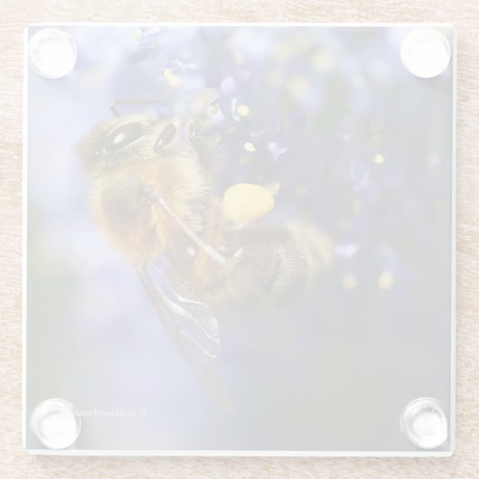 Schöne Honeybee auf der California Lilac Glasuntersetzer (Rückseite)