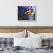 Schöne Honeybee auf der California Lilac Leinwanddruck (Insitu (Schlafzimmer))