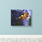 Schöne Honeybee auf der California Lilac Leinwanddruck (Insitu (Holzboden))