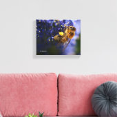 Schöne Honeybee auf der California Lilac Leinwanddruck (Insitu (Wohnzimmer))