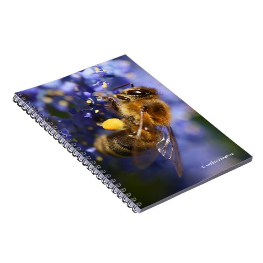 Schöne Honeybee auf der California Lilac Notizblock (Rechte Seite)