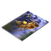 Schöne Honeybee auf der California Lilac Notizblock (Linke Seite)