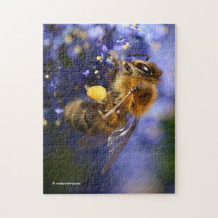 Schöne Honeybee auf der California Lilac Puzzle