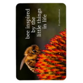 Schöne Honigbiene Pollinieren einer Blume Magnet (Vertikal)