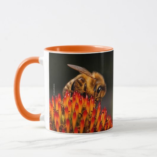 Schöne Honigbiene Pollinieren einer Blume Tasse (Links)