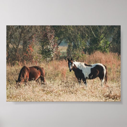 Schöne HORSEs Fall Archival Poster Print (Vorne)