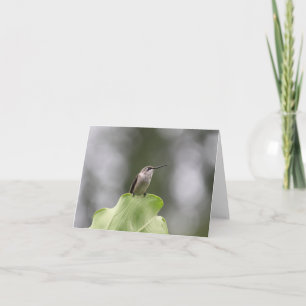 Schöne Hummingbird-Grußkarte Karte