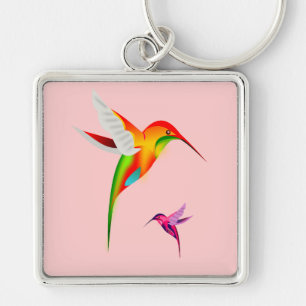 Schöne Hummingbirds, Colibri Schlüsselanhänger