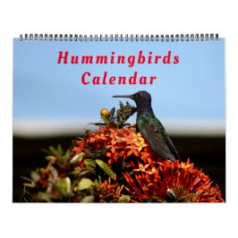 Schöne Hummingbirds - Hübsche farbenfrohe Vögel Kalender