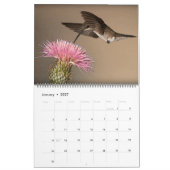 Schöne Hummingbirds - Hübsche farbenfrohe Vögel Kalender (Jan 2027)