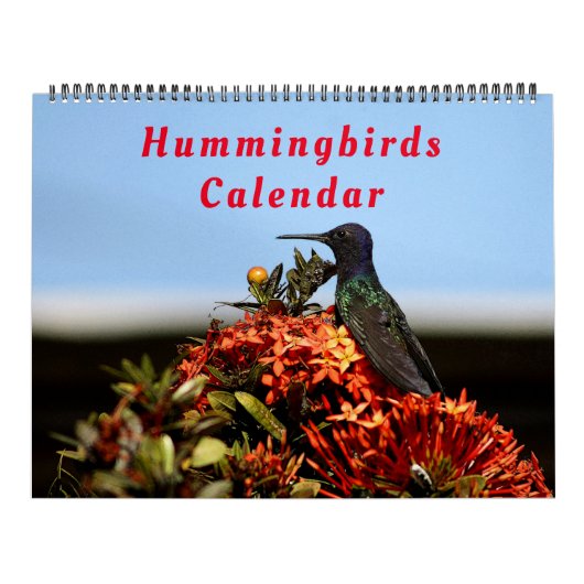 Schöne Hummingbirds - Hübsche farbenfrohe Vögel Kalender (Titelbild)