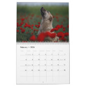 Schöne Hunde-Fotos Kalender (Feb 2026)