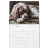 Schöne Hunde-Fotos Kalender (Mär 2027)