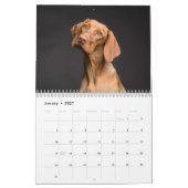 Schöne Hunde-Fotos Kalender (Jan 2027)