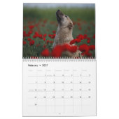 Schöne Hunde-Fotos Kalender (Feb 2027)