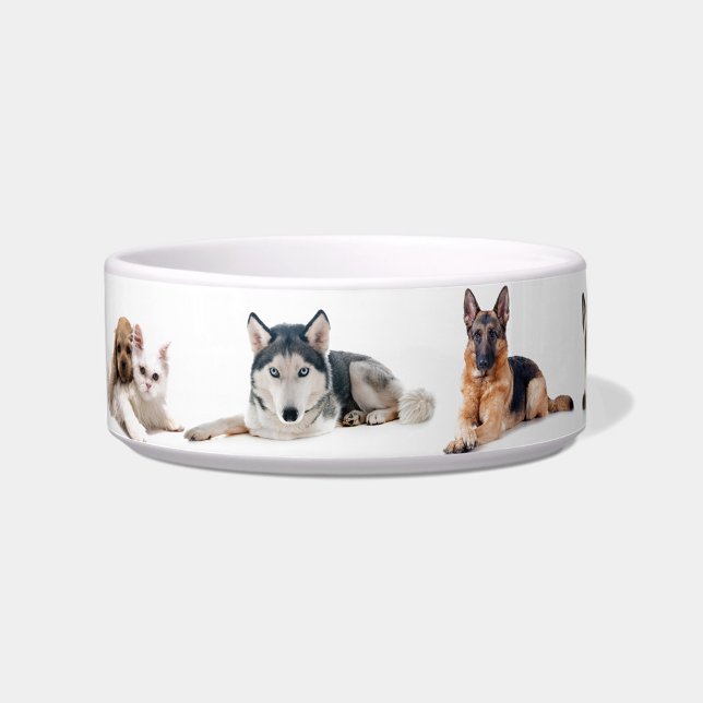 Schöne Hunde Napf ("Cute Pet Portrait Bowl")