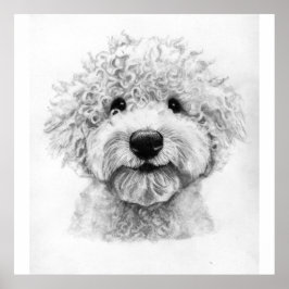 Schöne Hundskizze, Lagotto Poster