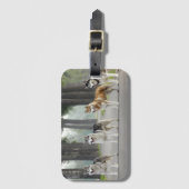 Schöne Husky-Hunde auf einem Naturlehrpfad Gepäckanhänger (Vorderseite Vertikal)