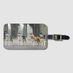 Schöne Husky-Hunde auf einem Naturlehrpfad Gepäckanhänger