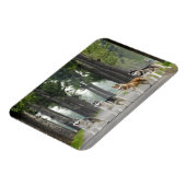 Schöne Husky Hunde auf einem Naturlehrpfad Magnet (Linke Seite)