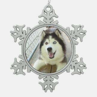 Schöne Husky-Verzierung Schneeflocken Zinn-Ornament