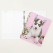 Schöne Husky-Welpe mit rosa Rosen Planer (Anzeige)