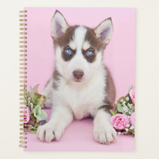 Schöne Husky-Welpe mit rosa Rosen Planer (Vorderseite)