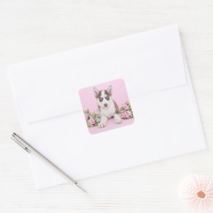 Schöne Husky-Welpe mit rosa Rosen Quadratischer Aufkleber