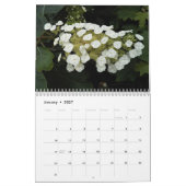 Schöne Hydrangea Bloms floral fotografisch Kalender (Jan 2027)