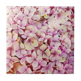 Schöne Hydrangea-Blume Fliese