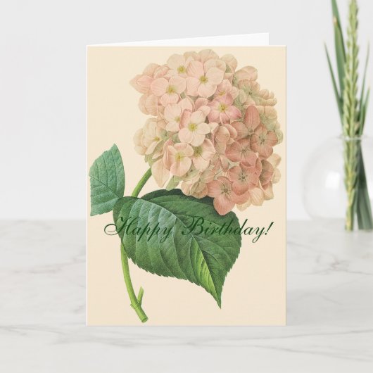Schöne Hydrangea-Blume Geburtstag Karte (Vorderseite)
