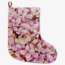 Schöne Hydrangea-Blume