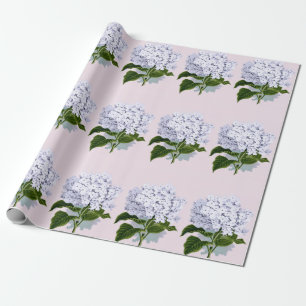 Schöne Hydrangea-Blume in Violet Geschenkpapier