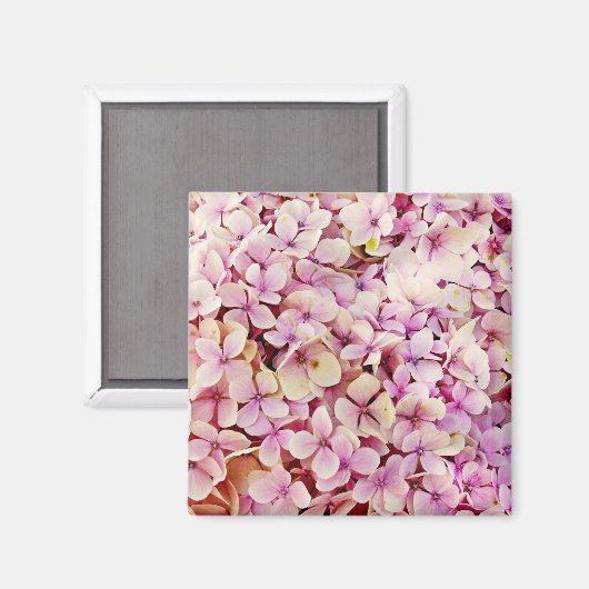 Schöne Hydrangea-Blume Magnet (Vorderseite/Rückseite)