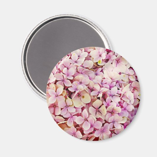 Schöne Hydrangea-Blume Magnet (Vorderseite/Rückseite)