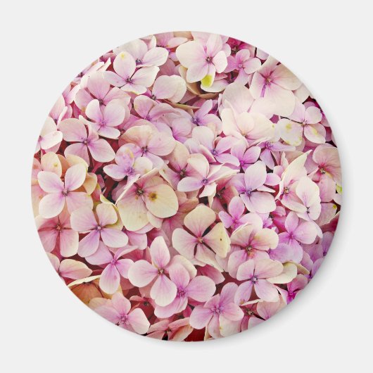 Schöne Hydrangea-Blume Magnet (Vorne)