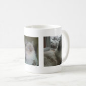 Schöne Hymalayan Ragdoll Katzen-Kaffee-Tasse Kaffeetasse (VorderseiteRechts)
