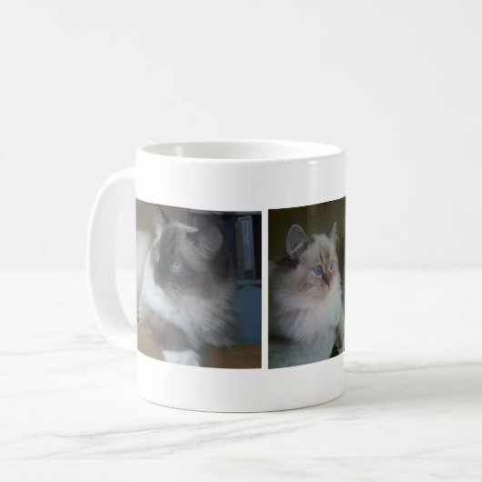 Schöne Hymalayan Ragdoll Katzen-Kaffee-Tasse Kaffeetasse (Vorderseite Links)