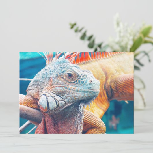Schöne iguana-Flachkarte (Stehend Vorderseite)