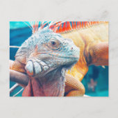 Schöne iguana Postkarte (Vorderseite)