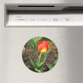 Schöne im Frühling ...... Magnet (In Situ (Geschirrspüler))