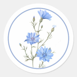 Schöne Immergrünblaue Wegwarte-Blumen-Kraut Runder Aufkleber