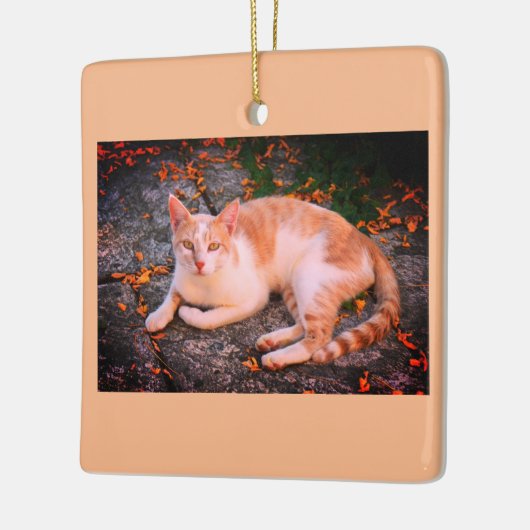 Schöne Ingwerkatze Keramikornament (Links)