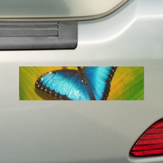 Schöne, iridescent Butterfly Autoaufkleber (Auf Auto)