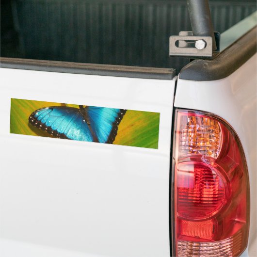 Schöne, iridescent Butterfly Autoaufkleber (Auf Lkw)