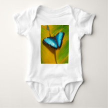 Schöne, iridescent Butterfly