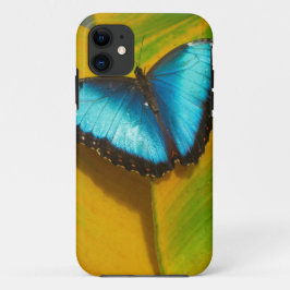 Schöne, iridescent Butterfly Case-Mate iPhone Hülle
