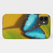 Schöne, iridescent Butterfly Case-Mate iPhone Hülle (Rückseite (Horizontal))